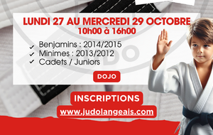 🍁Stage Vacances🍁 Arbitrage/SportsCollectifs