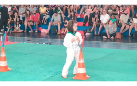 Fête du judo